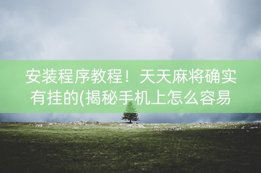 安装程序教程！天天麻将确实有挂的(揭秘手机上怎么容易赢)