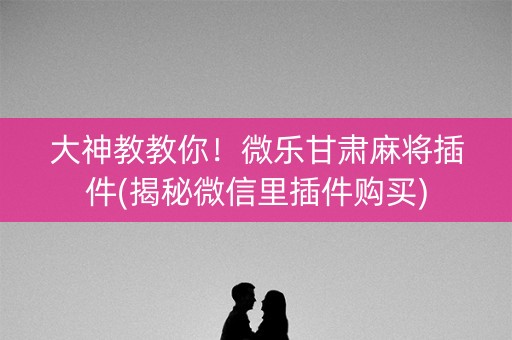 大神教教你！微乐甘肃麻将插件(揭秘微信里插件购买)