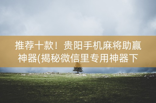 推荐十款！贵阳手机麻将助赢神器(揭秘微信里专用神器下载)