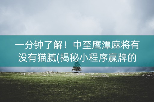 一分钟了解！中至鹰潭麻将有没有猫腻(揭秘小程序赢牌的技巧)