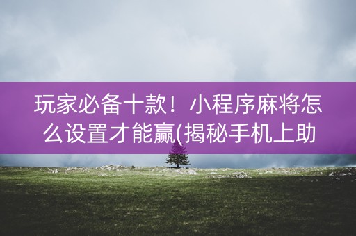 玩家必备十款！小程序麻将怎么设置才能赢(揭秘手机上助赢神器购买)