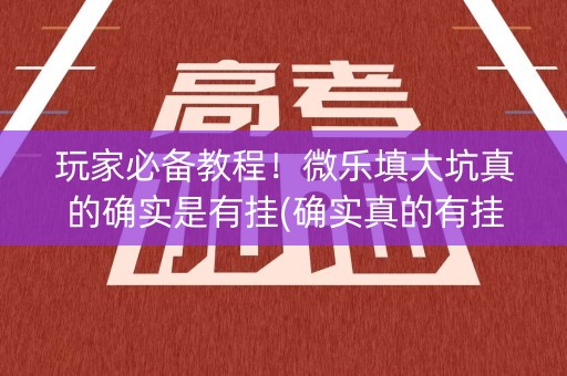 玩家必备教程！微乐填大坑真的确实是有挂(确实真的有挂)