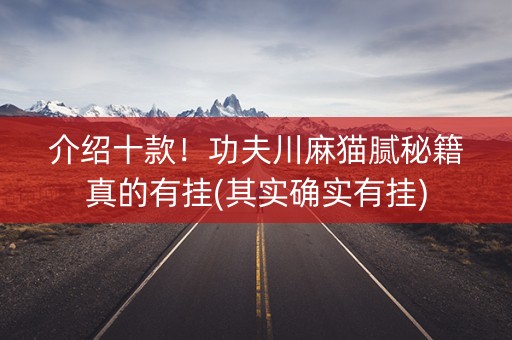 介绍十款！功夫川麻猫腻秘籍真的有挂(其实确实有挂)