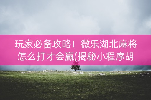 玩家必备攻略！微乐湖北麻将怎么打才会赢(揭秘小程序胡牌神器)