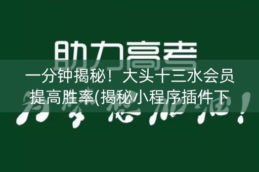 一分钟揭秘！大头十三水会员提高胜率(揭秘小程序插件下载)