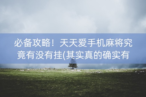 必备攻略！天天爱手机麻将究竟有没有挂(其实真的确实有挂)