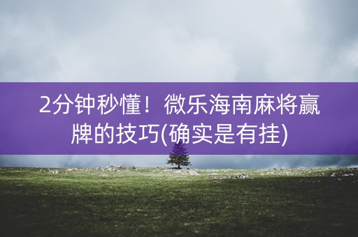 2分钟秒懂！微乐海南麻将赢牌的技巧(确实是有挂)