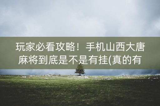 玩家必看攻略！手机山西大唐麻将到底是不是有挂(真的有挂)