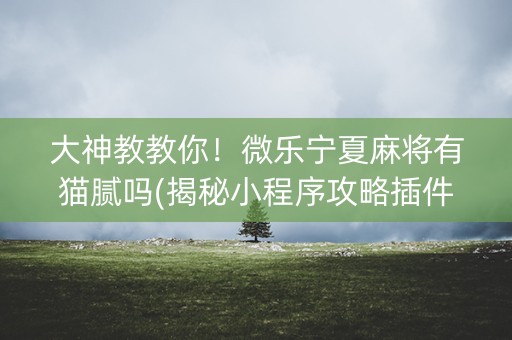 大神教教你！微乐宁夏麻将有猫腻吗(揭秘小程序攻略插件)
