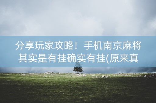 分享玩家攻略！手机南京麻将其实是有挂确实有挂(原来真的有挂)