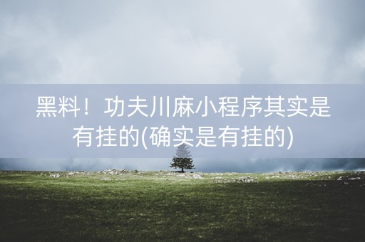 黑料！功夫川麻小程序其实是有挂的(确实是有挂的)