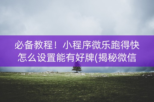 必备教程！小程序微乐跑得快怎么设置能有好牌(揭秘微信里专用神器下载)