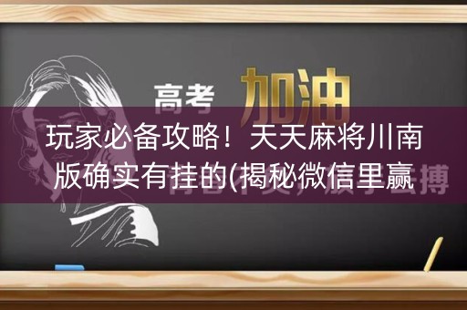 玩家必备攻略！天天麻将川南版确实有挂的(揭秘微信里赢的诀窍)