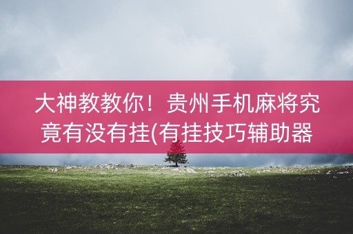 大神教教你！贵州手机麻将究竟有没有挂(有挂技巧辅助器)