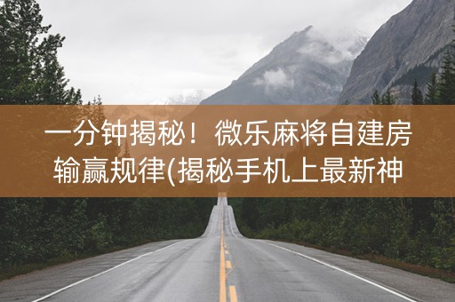 一分钟揭秘！微乐麻将自建房输赢规律(揭秘手机上最新神器下载)