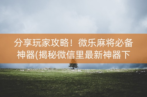 分享玩家攻略！微乐麻将必备神器(揭秘微信里最新神器下载)