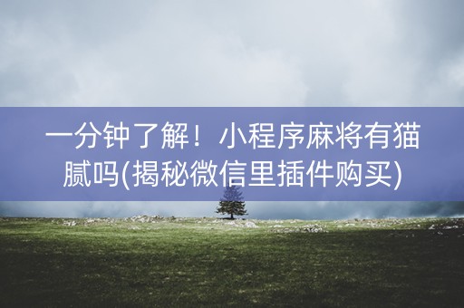 一分钟了解！小程序麻将有猫腻吗(揭秘微信里插件购买)