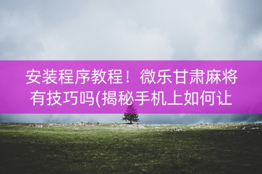 安装程序教程！微乐甘肃麻将有技巧吗(揭秘手机上如何让牌变好)