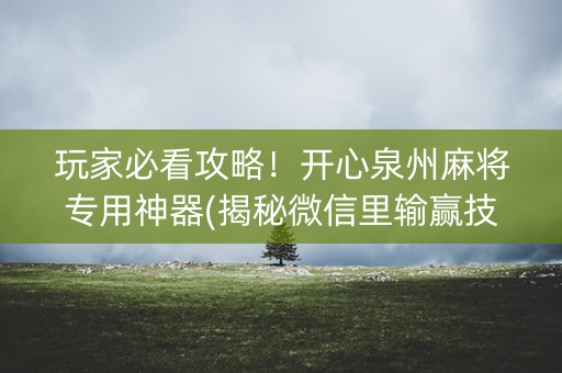 玩家必看攻略！开心泉州麻将专用神器(揭秘微信里输赢技巧)