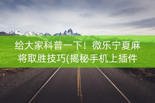 给大家科普一下！微乐宁夏麻将取胜技巧(揭秘手机上插件下载)