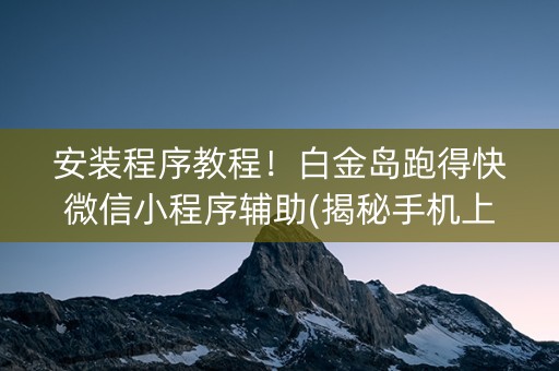 安装程序教程！白金岛跑得快微信小程序辅助(揭秘手机上输赢规律)