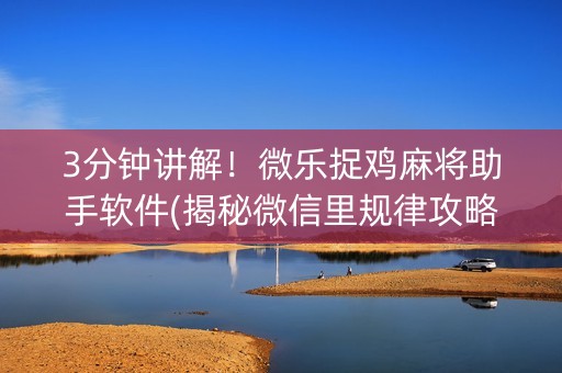 3分钟讲解！微乐捉鸡麻将助手软件(揭秘微信里规律攻略)