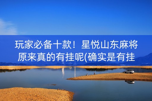 玩家必备十款！星悦山东麻将原来真的有挂呢(确实是有挂的)