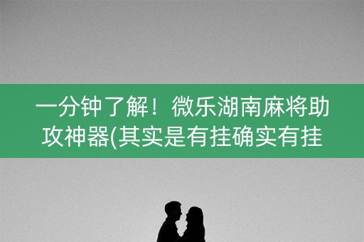 一分钟了解！微乐湖南麻将助攻神器(其实是有挂确实有挂)