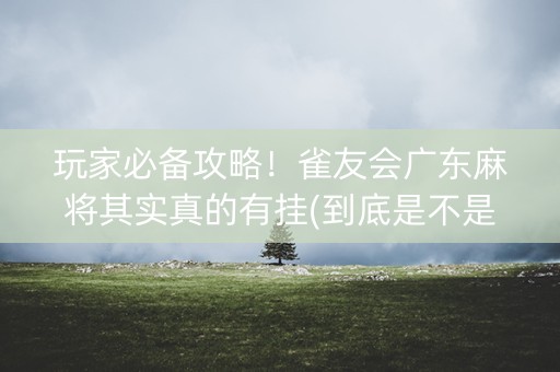 玩家必备攻略！雀友会广东麻将其实真的有挂(到底是不是有挂)