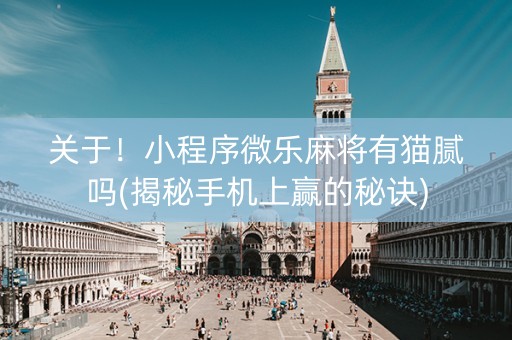 关于！小程序微乐麻将有猫腻吗(揭秘手机上赢的秘诀)