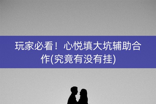 玩家必看！心悦填大坑辅助合作(究竟有没有挂)