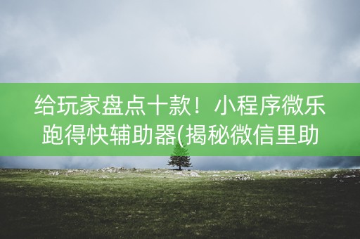 给玩家盘点十款！小程序微乐跑得快辅助器(揭秘微信里助攻神器)
