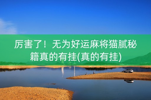 厉害了！无为好运麻将猫腻秘籍真的有挂(真的有挂)