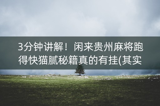 3分钟讲解！闲来贵州麻将跑得快猫腻秘籍真的有挂(其实真的确实有挂)