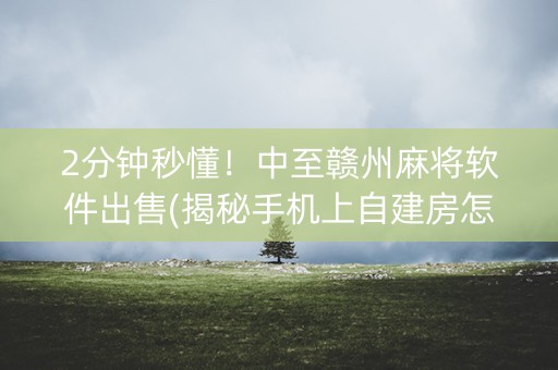 2分钟秒懂！中至赣州麻将软件出售(揭秘手机上自建房怎么赢)