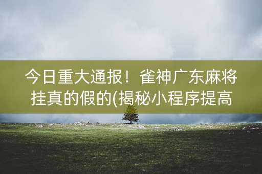 今日重大通报！雀神广东麻将挂真的假的(揭秘小程序提高赢的概率)