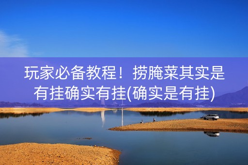 玩家必备教程！捞腌菜其实是有挂确实有挂(确实是有挂)