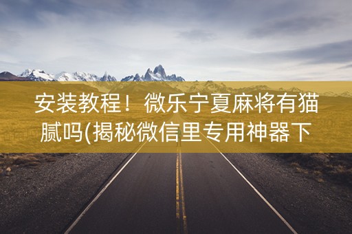 安装教程！微乐宁夏麻将有猫腻吗(揭秘微信里专用神器下载)