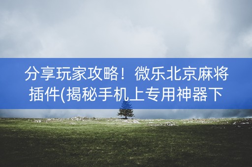分享玩家攻略！微乐北京麻将插件(揭秘手机上专用神器下载)