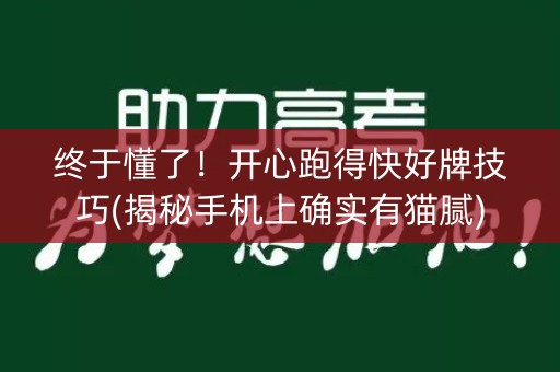 终于懂了！开心跑得快好牌技巧(揭秘手机上确实有猫腻)