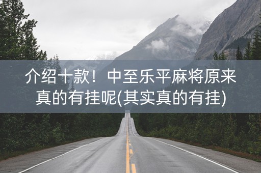 介绍十款！中至乐平麻将原来真的有挂呢(其实真的有挂)