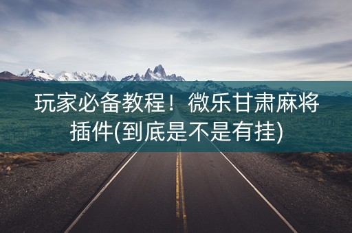 玩家必备教程！微乐甘肃麻将插件(到底是不是有挂)