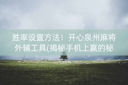胜率设置方法！开心泉州麻将外辅工具(揭秘手机上赢的秘诀)