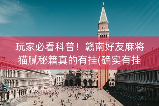玩家必看科普！赣南好友麻将猫腻秘籍真的有挂(确实有挂)
