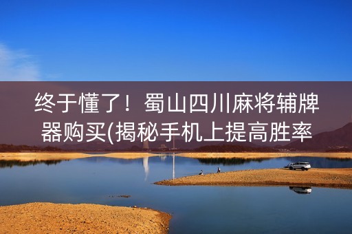 终于懂了！蜀山四川麻将辅牌器购买(揭秘手机上提高胜率)