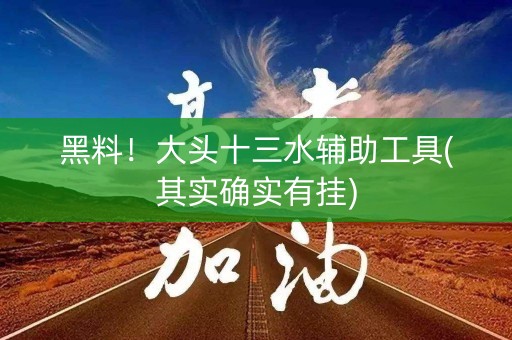 黑料！大头十三水辅助工具(其实确实有挂)