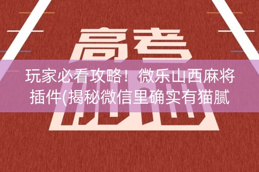 玩家必看攻略！微乐山西麻将插件(揭秘微信里确实有猫腻)