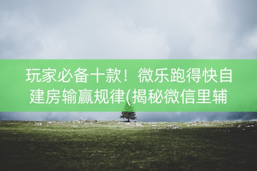 玩家必备十款！微乐跑得快自建房输赢规律(揭秘微信里辅牌器)