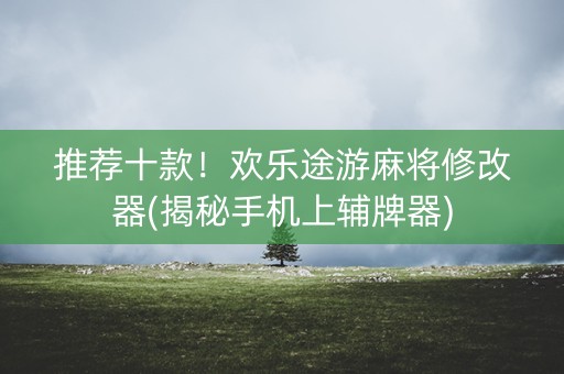 推荐十款！欢乐途游麻将修改器(揭秘手机上辅牌器)