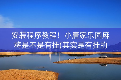 安装程序教程！小唐家乐园麻将是不是有挂(其实是有挂的)